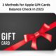 3 Methods for Apple Gift Cards Balance Check In 2023