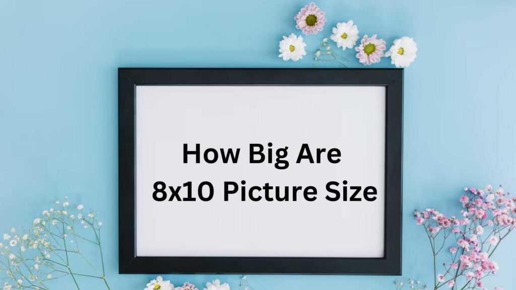 How Big Are 8×10 Picture Size
