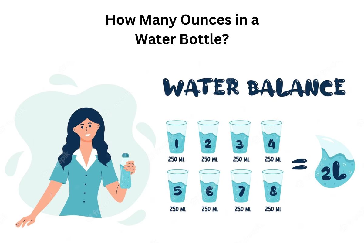 How Many Ounces in a Water Bottle 12 oz,16.9 oz,20 oz,32 oz